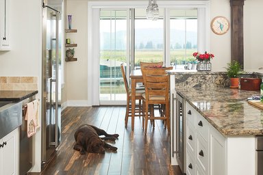 Pet-Friendly Home Design