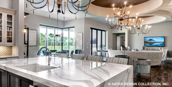 Large Luxury Home Plans with Pictures