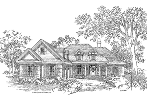 Country Exterior - Front Elevation Plan #929-299