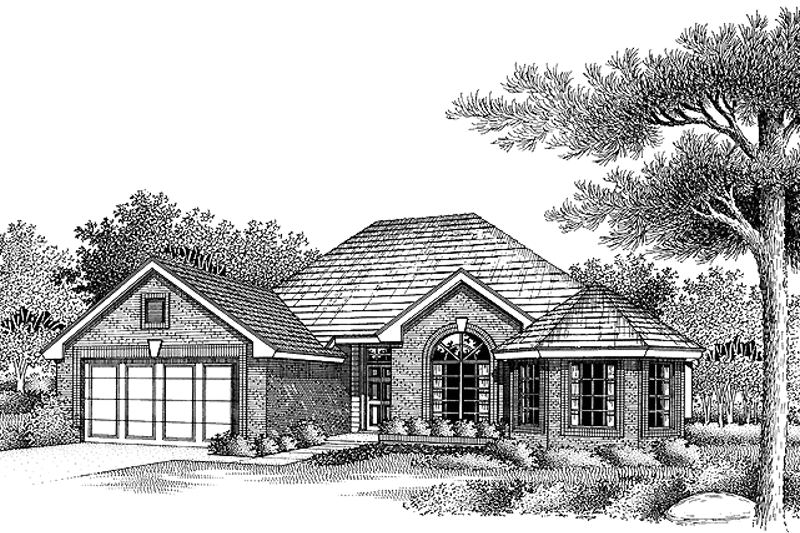 House Design - Ranch Exterior - Front Elevation Plan #310-1042