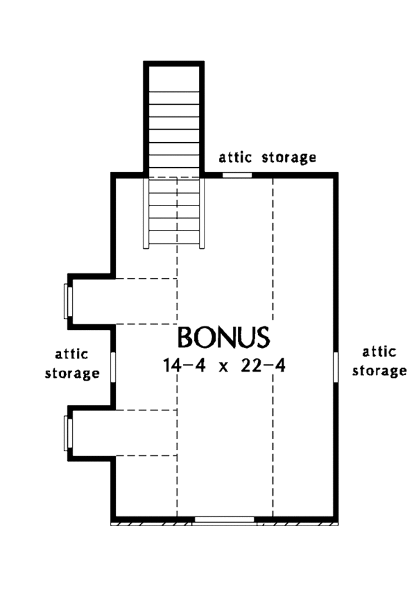 Optional Bonus Level