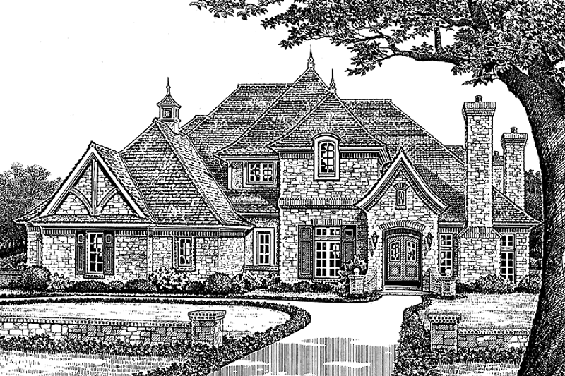 Dream House Plan - Exterior - Front Elevation 3 for Country House Plan #310-1227 - 5 bed, 5.5 bath