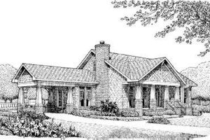 Southern Exterior - Front Elevation Plan #306-113