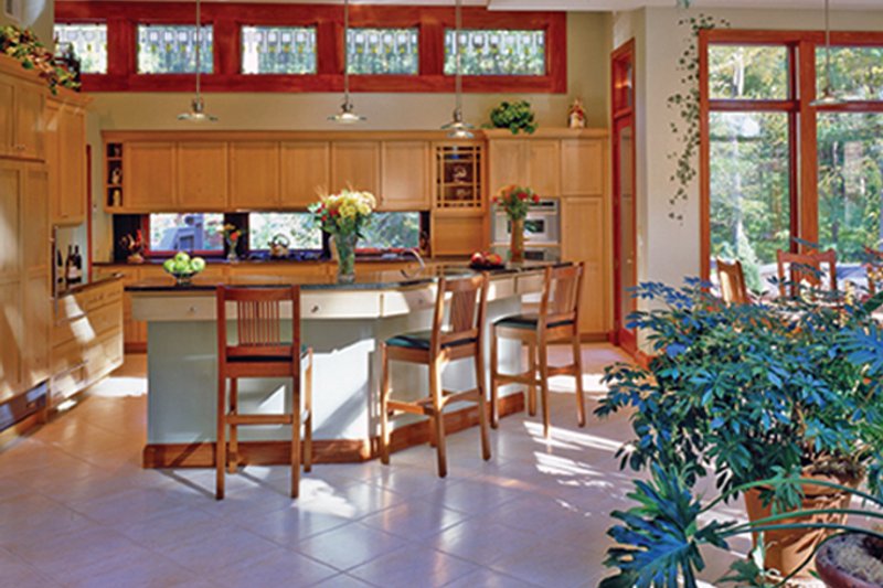 Home Plan - Interior - Kitchen for Contemporary House Plan #314-287 - 5 bed, 3.5 bath