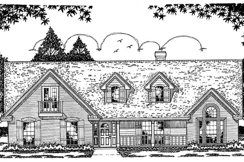 House Design - Country Exterior - Front Elevation Plan #42-501