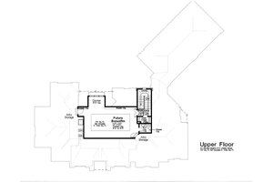 Optional Bonus Level