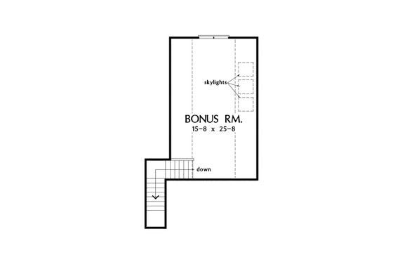 Optional Bonus Level