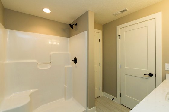 Lower Level Bathroom