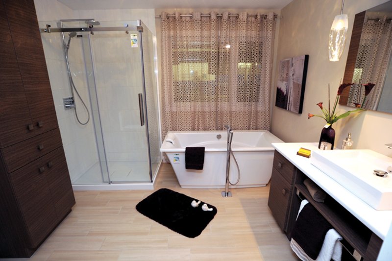 Dream House Plan - Interior - Master Bathroom for Contemporary House Plan #23-2586 - 3 bed, 1.5 bath