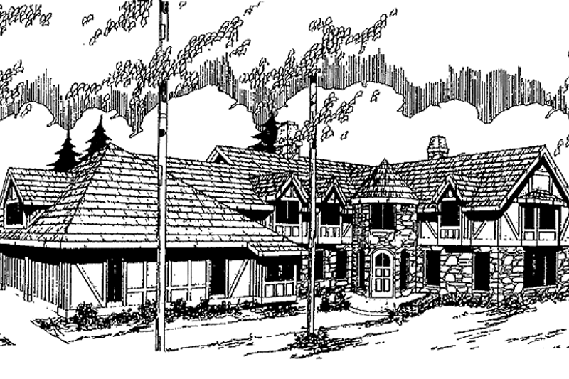 Home Plan - Tudor Exterior - Front Elevation Plan #60-796