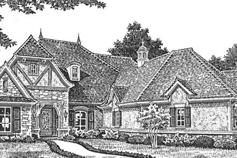 European Style House Plan - 3 Beds 2.5 Baths 2690 Sq/Ft Plan #310-1264 ...