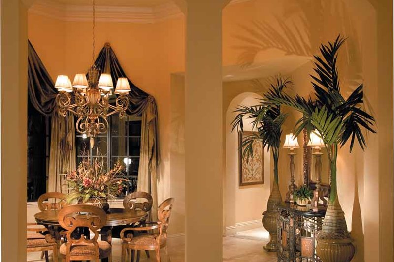 Dream House Plan - Interior - Other 1 for Mediterranean House Plan #930-328 - 4 bed, 4.5 bath
