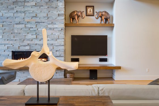 Interior - Other 4 for Contemporary House Plan #48-651 - 4 bed, 4.5 bath