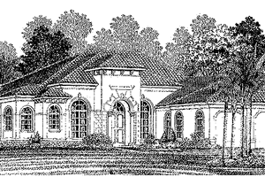 Home Plan - Mediterranean Exterior - Front Elevation Plan #1017-9