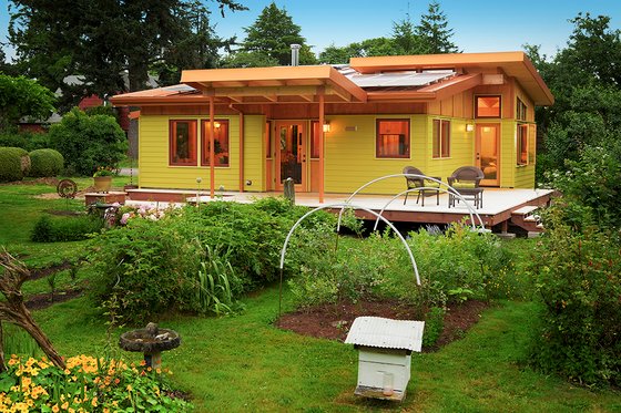 Exterior - Rear Elevation 1 for Modern House Plan #890-1 - 2 bed, 1 bath