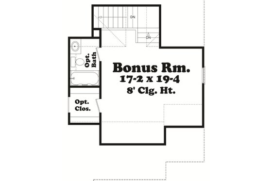 Optional Bonus Level