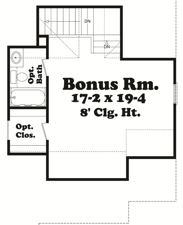 Optional Bonus Level