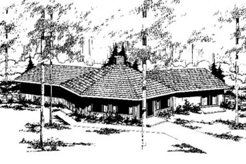 House Plan Design - Modern Exterior - Front Elevation Plan #60-111