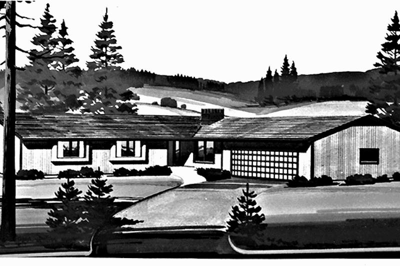 Home Plan - Contemporary Exterior - Front Elevation Plan #320-1398