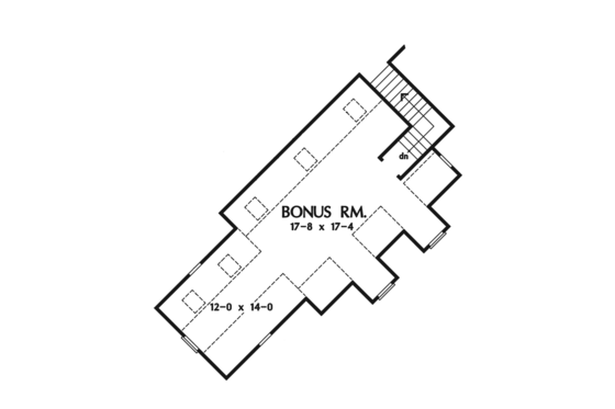 Optional Bonus Level