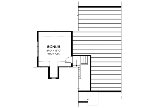 Optional Bonus Level