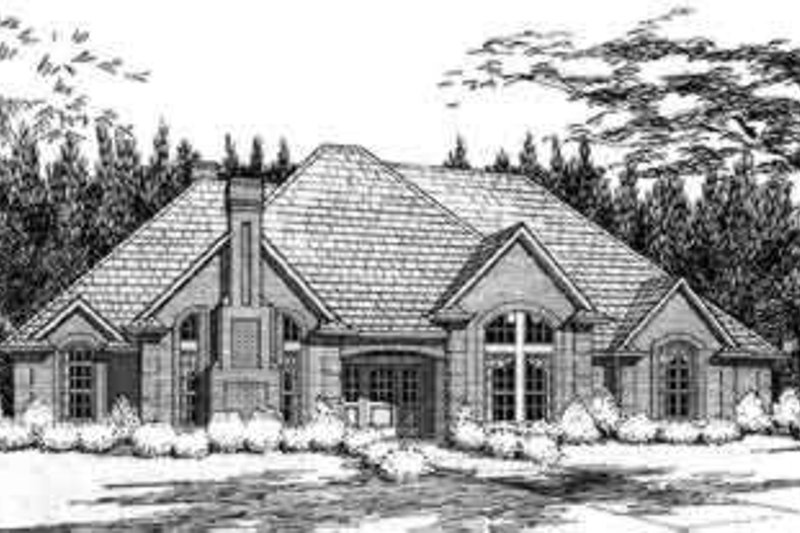 Dream House Plan - Traditional Exterior - Front Elevation Plan #120-116