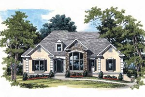 Country Exterior - Front Elevation Plan #927-224
