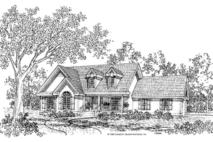 Country Exterior - Front Elevation Plan #929-235