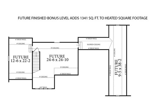 Optional Bonus Level