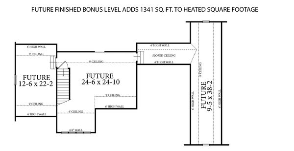 Optional Bonus Level