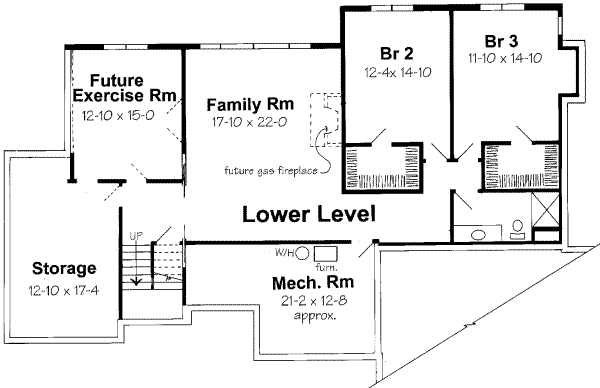 Traditional Floor Plan - Lower Floor Plan #312-167