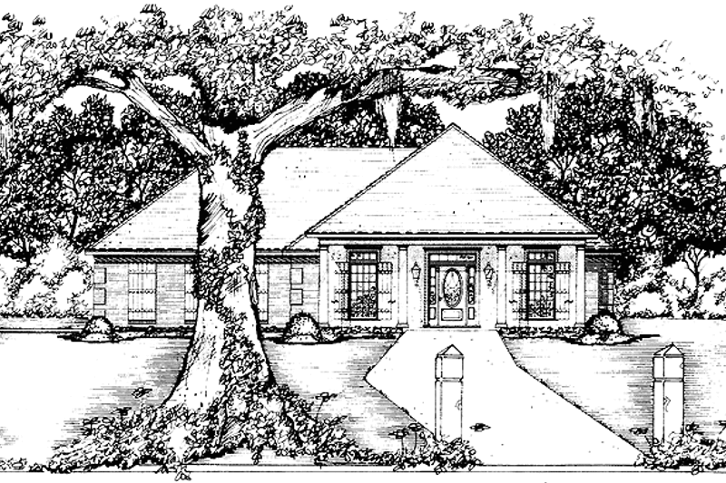 House Design - Country Exterior - Front Elevation Plan #36-603