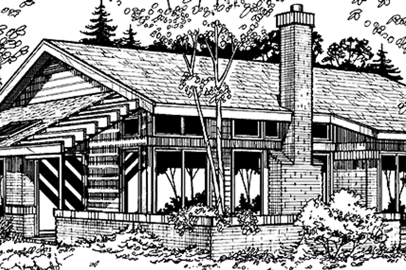 House Plan Design - Exterior - Rear Elevation for Contemporary House Plan #320-1159 - 2 bed, 2 bath