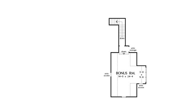 Optional Bonus Level