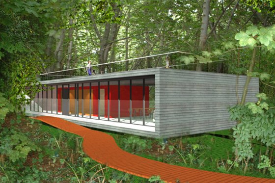 Exterior - Rear Elevation for Modern House Plan #520-4 - 1 bed, 1 bath