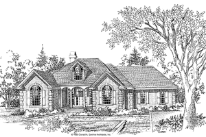 Country Exterior - Front Elevation Plan #929-153
