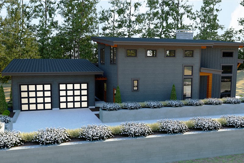 Dream House Plan - Left Side Elevation