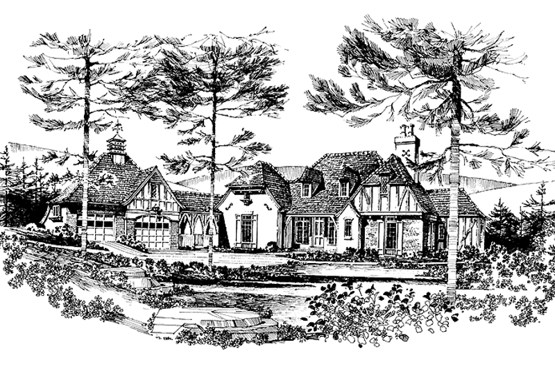 Home Plan - Tudor Exterior - Front Elevation Plan #1016-62