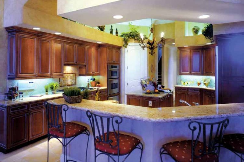 Dream House Plan - Interior - Kitchen for Mediterranean House Plan #1017-3 - 3 bed, 4 bath