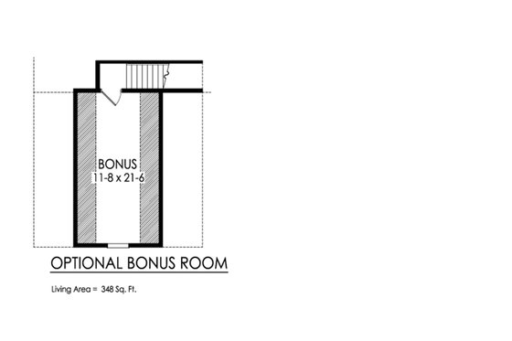 Optional Bonus Level