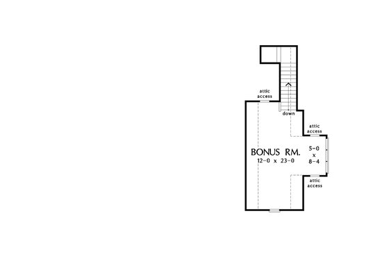 Optional Bonus Level