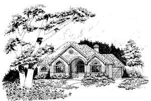 Dream House Plan - European Exterior - Front Elevation Plan #1007-16