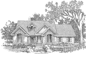 Traditional Exterior - Front Elevation Plan #929-379