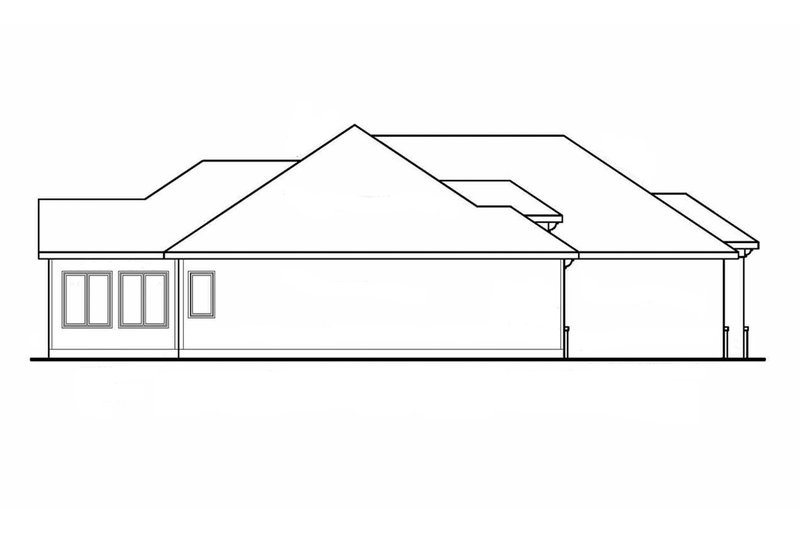 Dream House Plan - Left Side Elevation