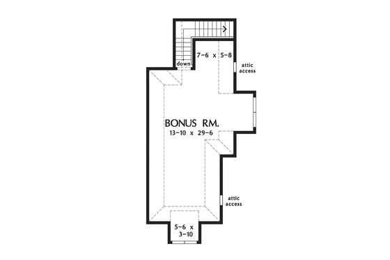 Optional Bonus Level