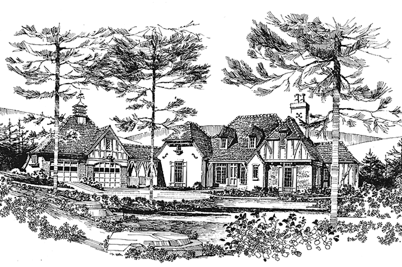 Home Plan - Tudor Exterior - Front Elevation Plan #1016-16