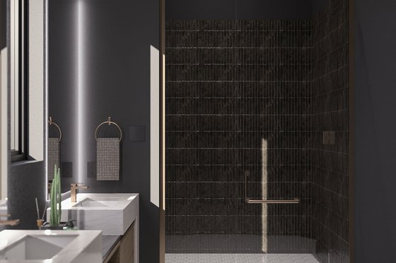 Interior - Master Bathroom 1 for Modern House Plan #455-560 - 3 bed, 2 bath