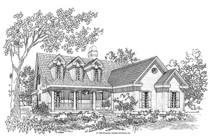 Country Exterior - Front Elevation Plan #929-219