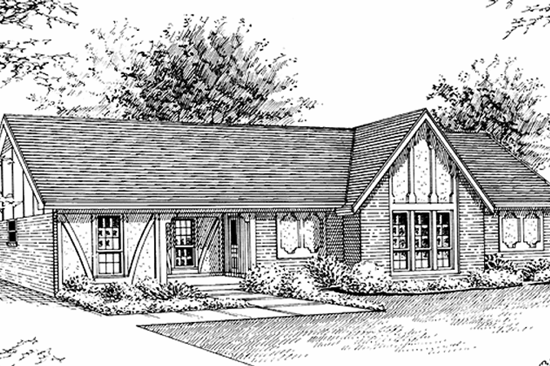 Home Plan - Tudor Exterior - Front Elevation Plan #45-539