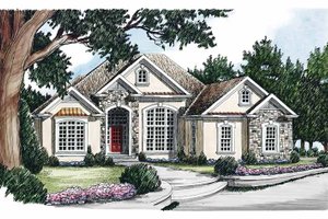 Country Exterior - Front Elevation Plan #927-104